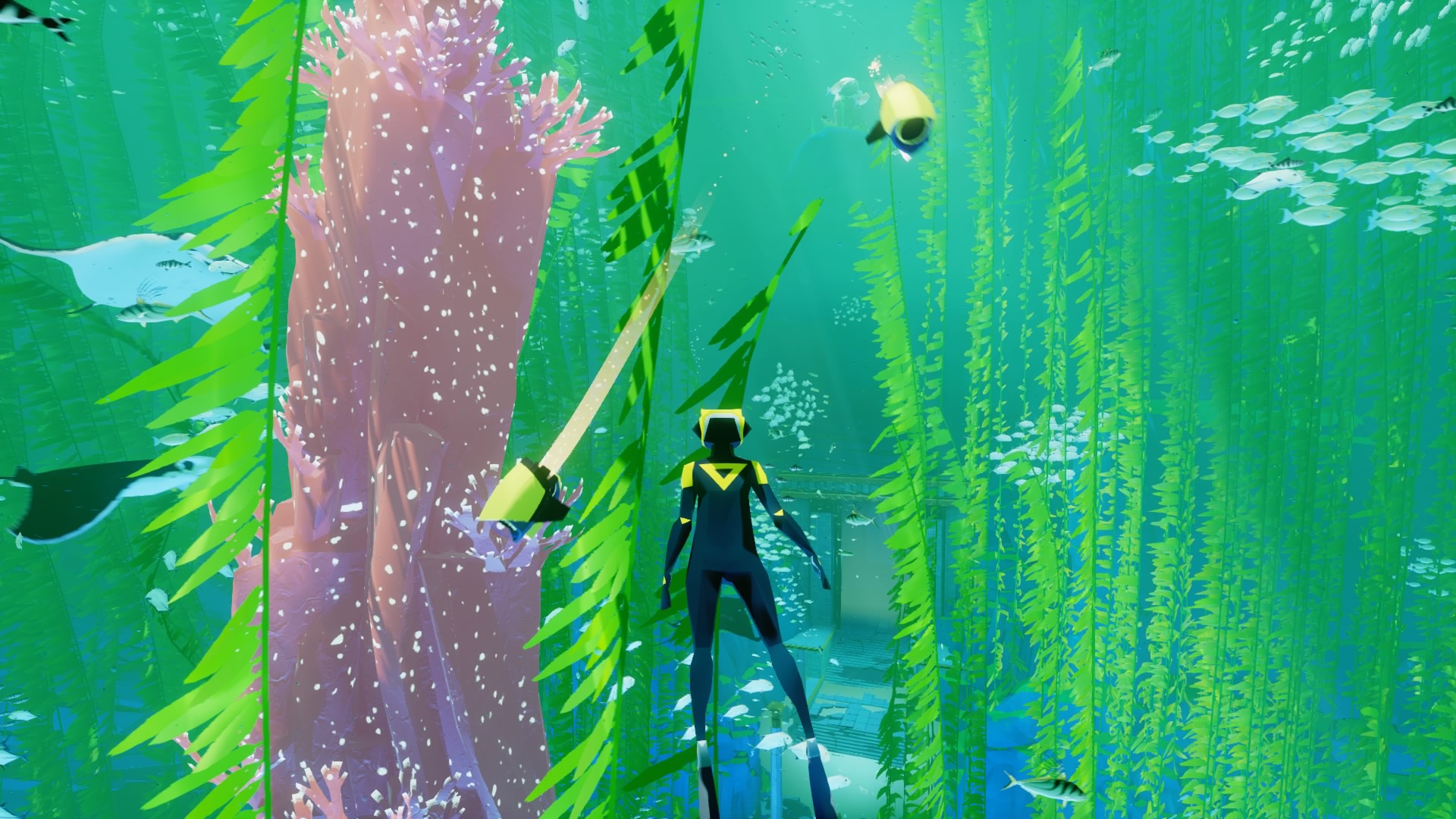 Ahhh, another day with the kelp and the mantas