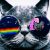 Profile picture of catbro67
