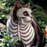 Profile picture of Jovanny Garibay